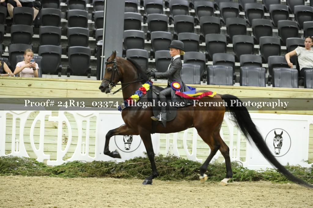 Proof 24R13_03374