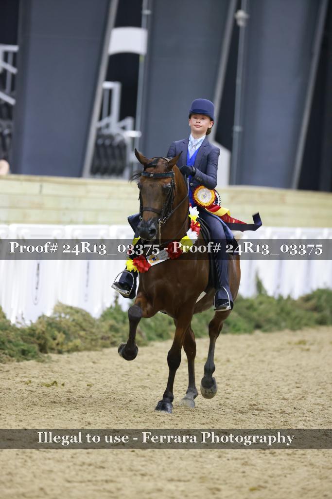 Proof 24R13_03375