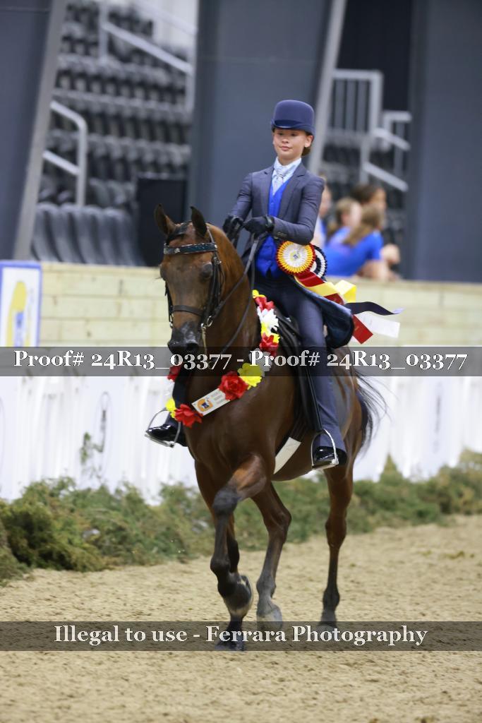 Proof 24R13_03377