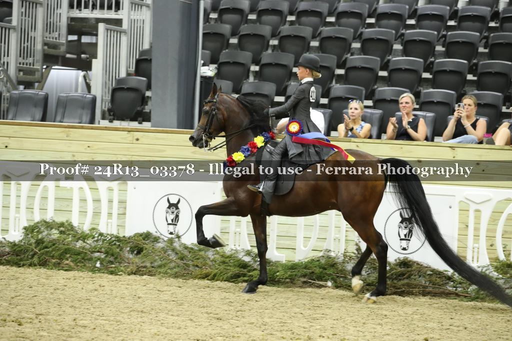 Proof 24R13_03378