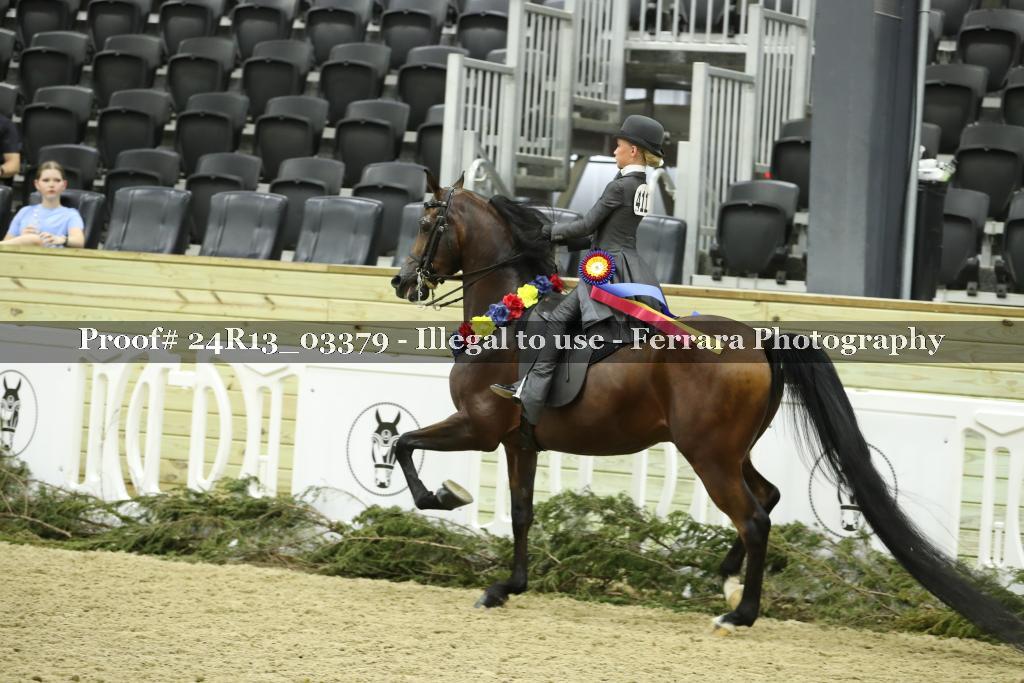 Proof 24R13_03379