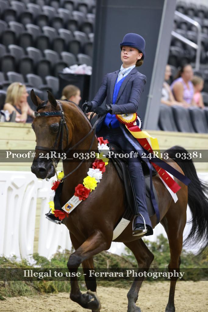 Proof 24R13_03381