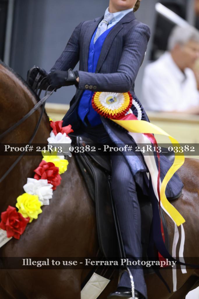 Proof 24R13_03382