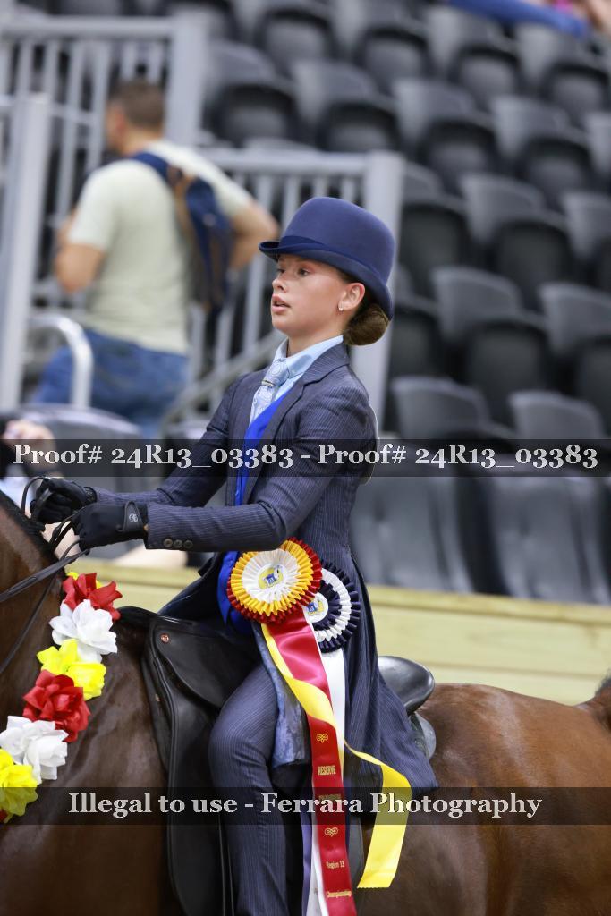 Proof 24R13_03383