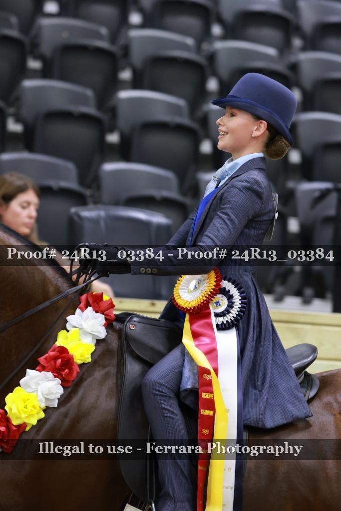 Proof 24R13_03384