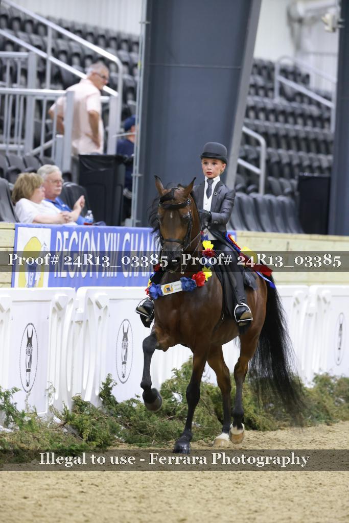 Proof 24R13_03385