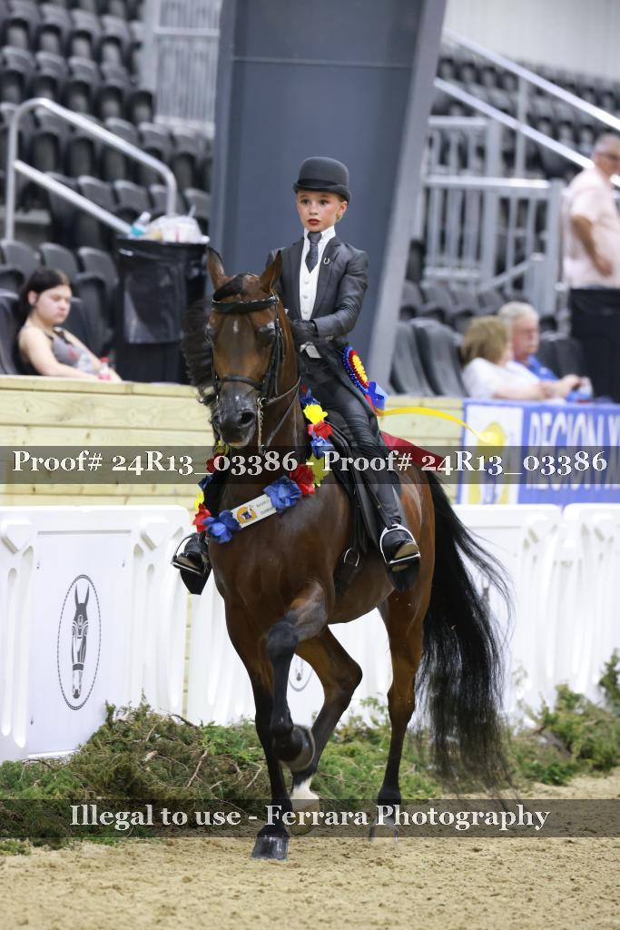 Proof 24R13_03386