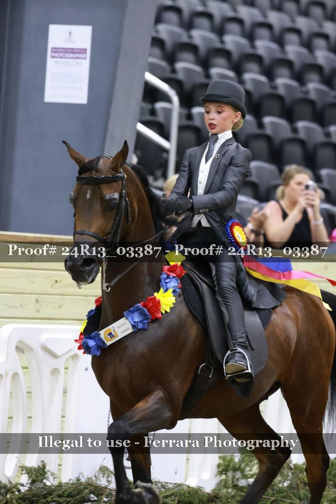 Proof 24R13_03387