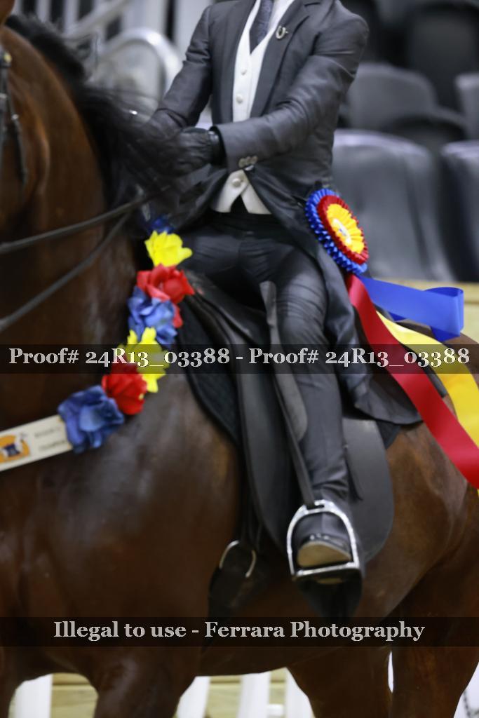 Proof 24R13_03388
