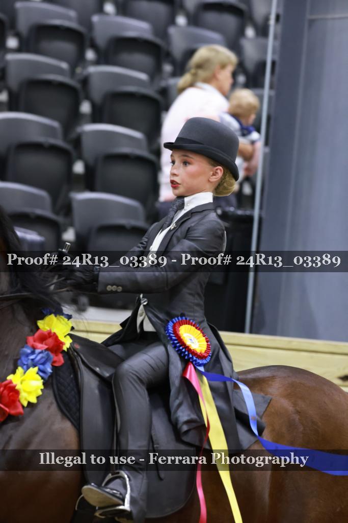 Proof 24R13_03389
