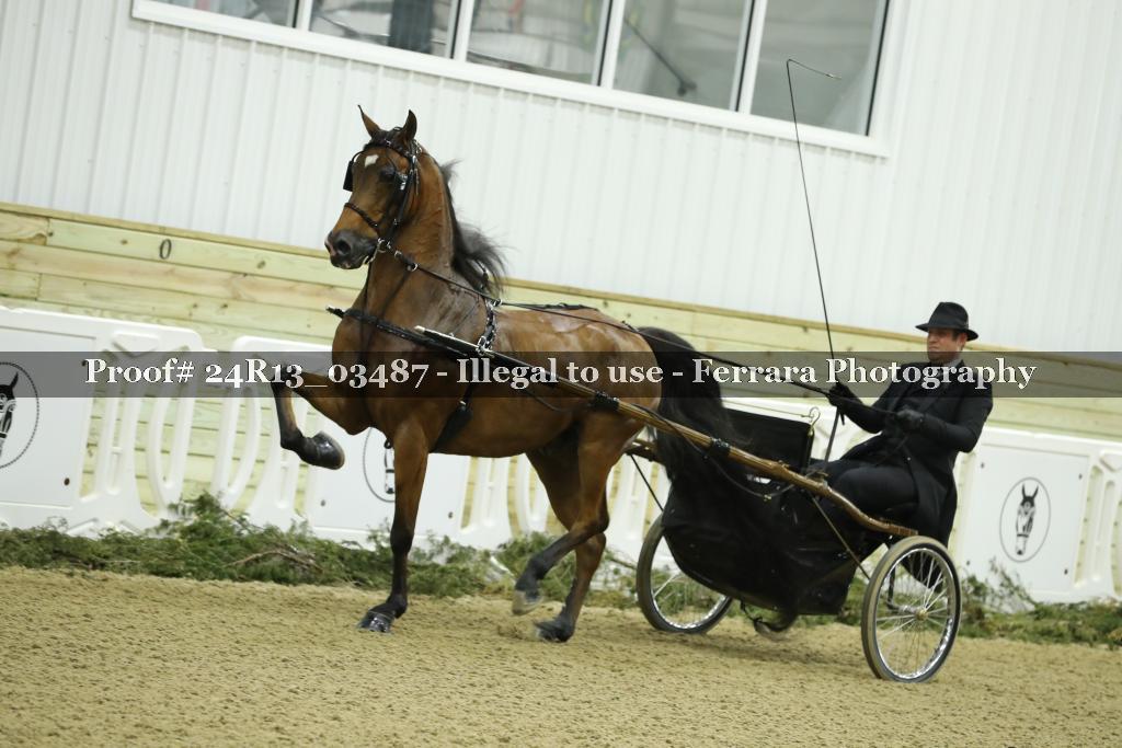 Proof 24R13_03487