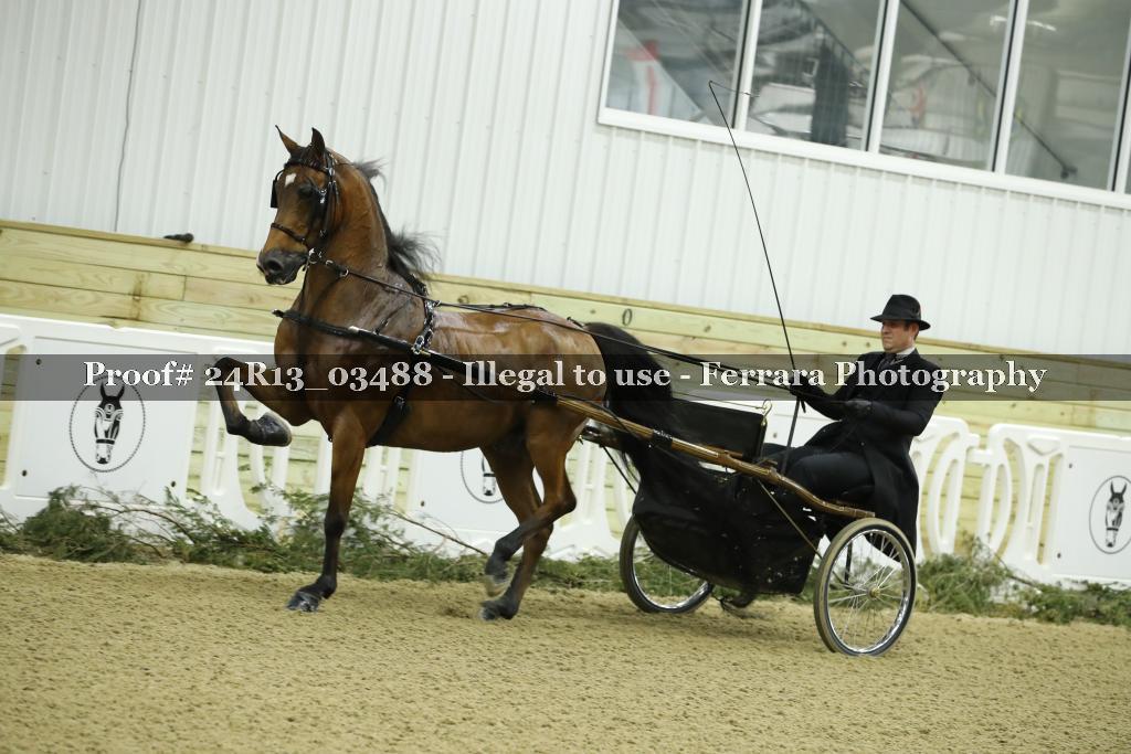 Proof 24R13_03488