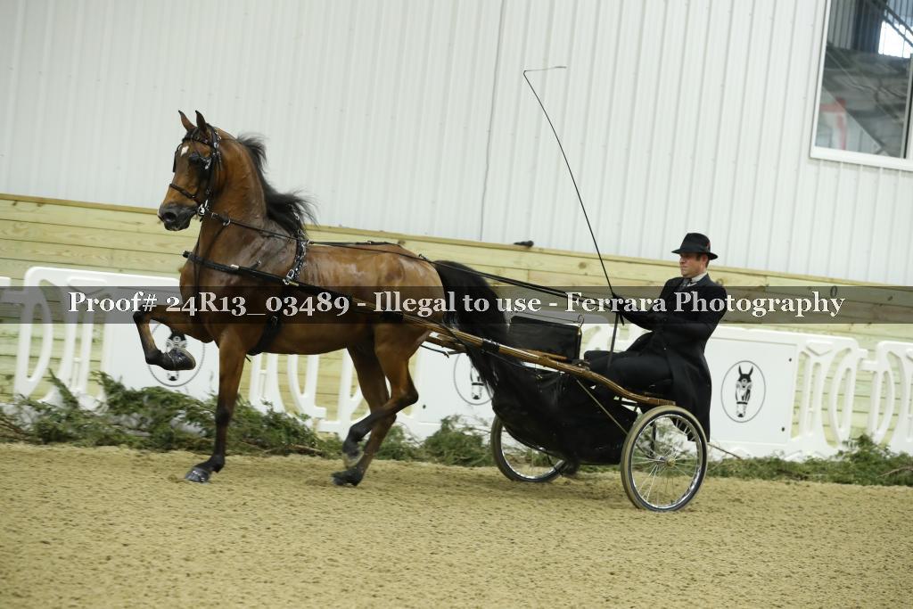 Proof 24R13_03489