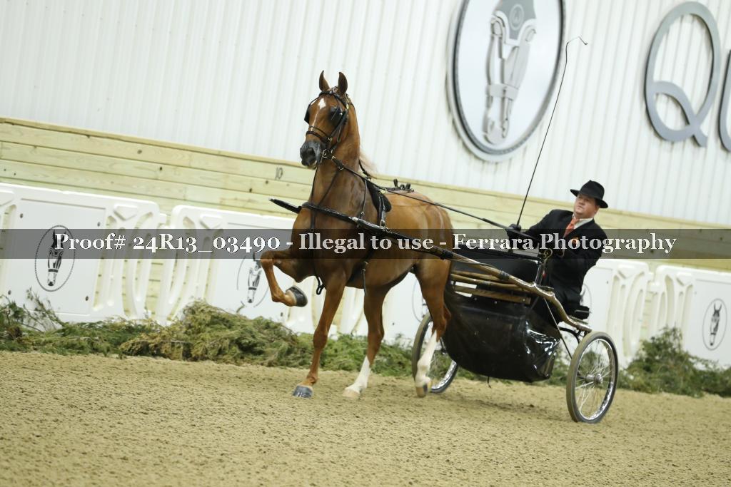 Proof 24R13_03490