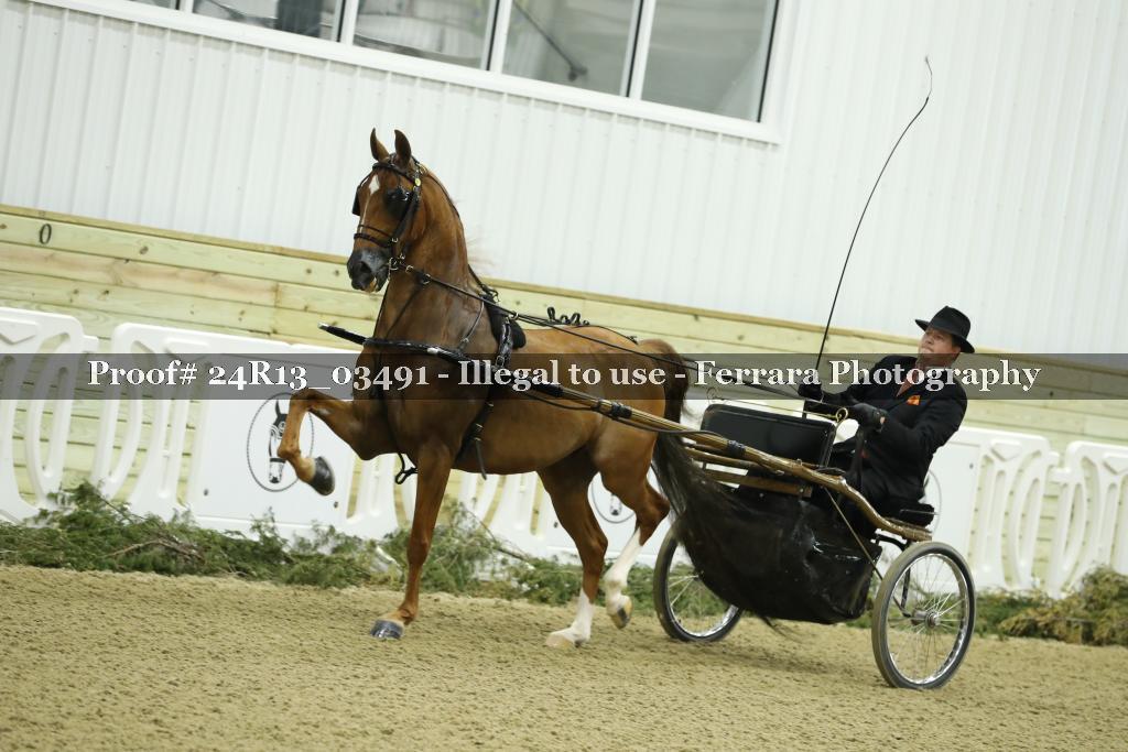 Proof 24R13_03491