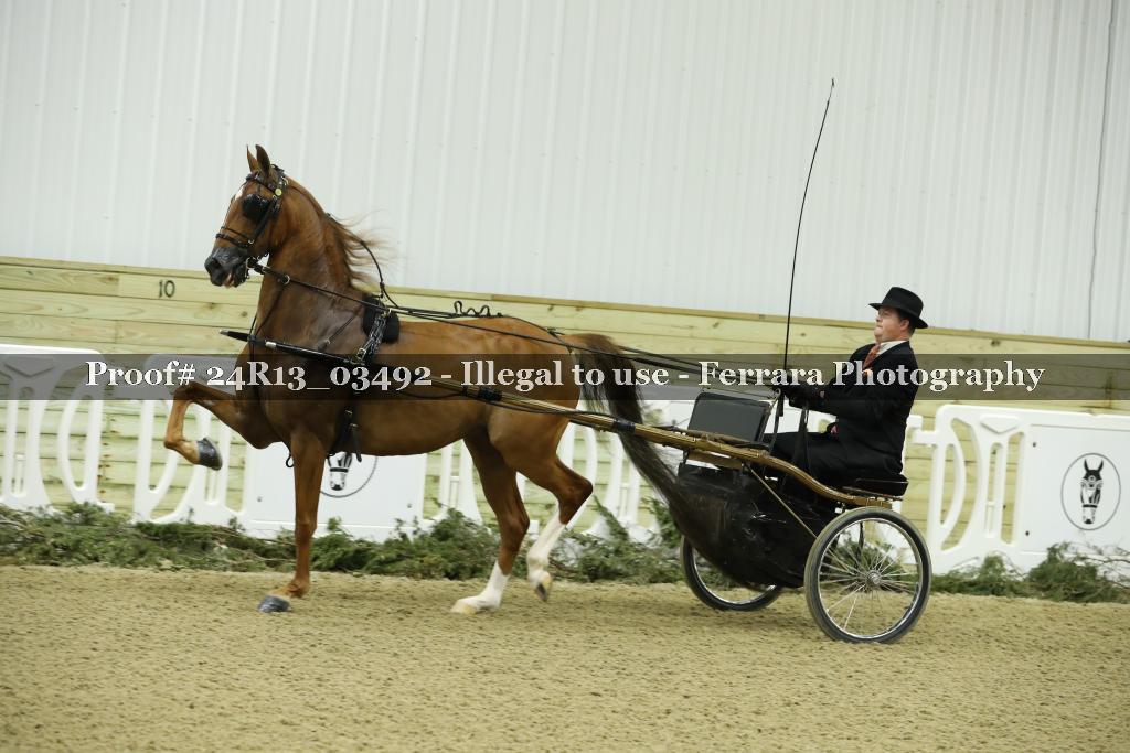 Proof 24R13_03492