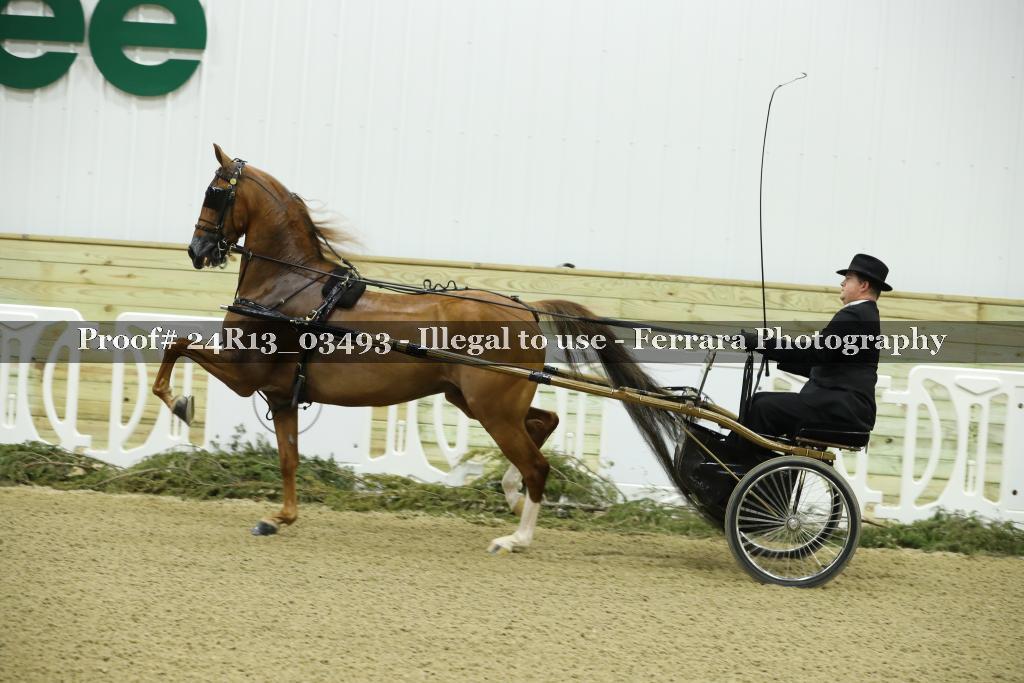 Proof 24R13_03493