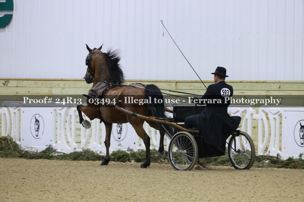 Proof 24R13_03494