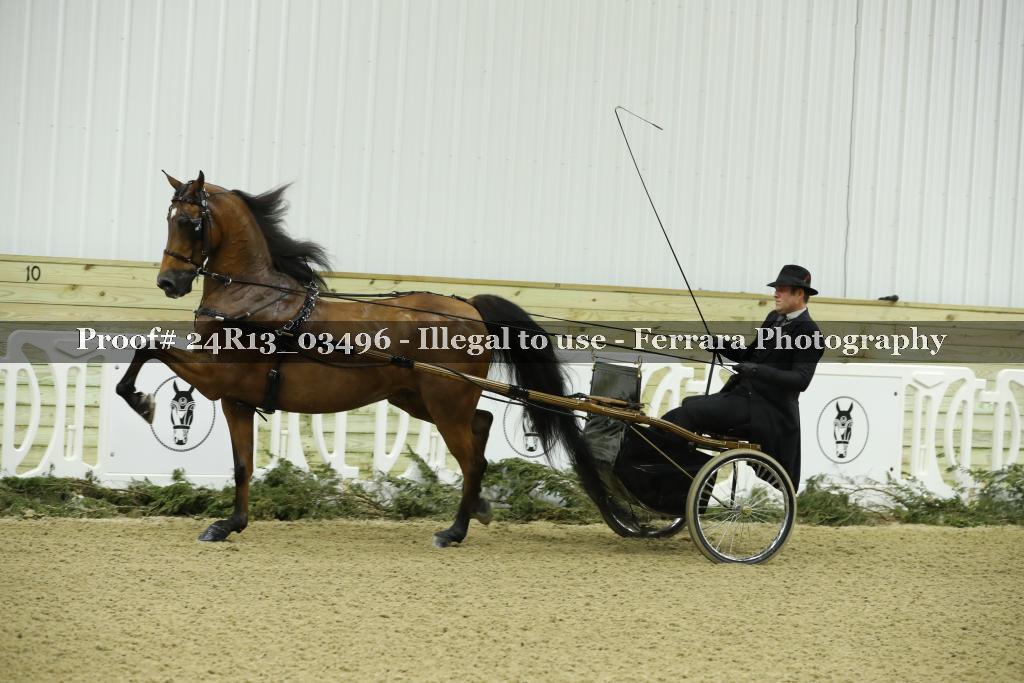 Proof 24R13_03496