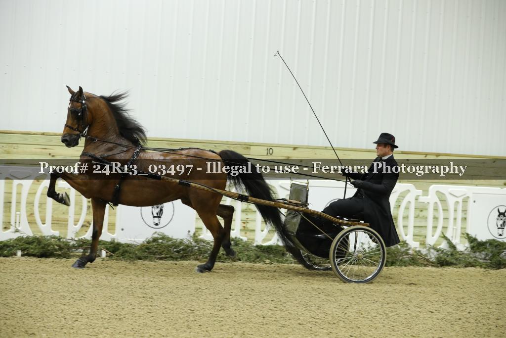 Proof 24R13_03497