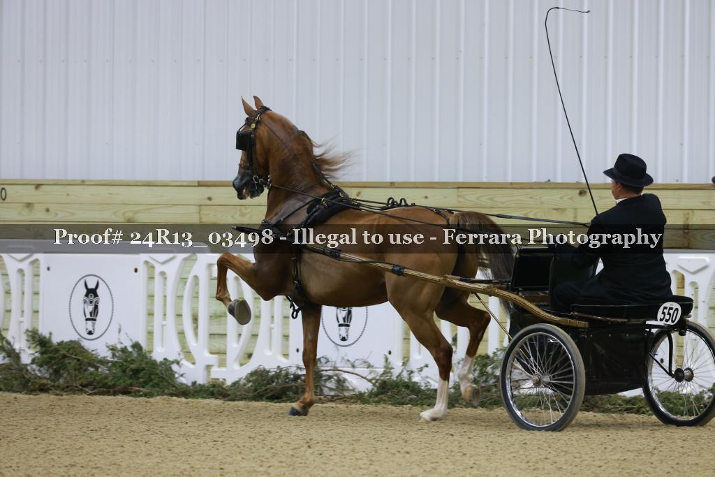 Proof 24R13_03498