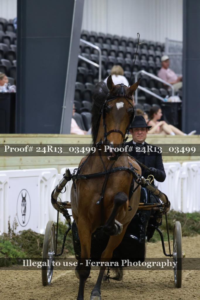 Proof 24R13_03499