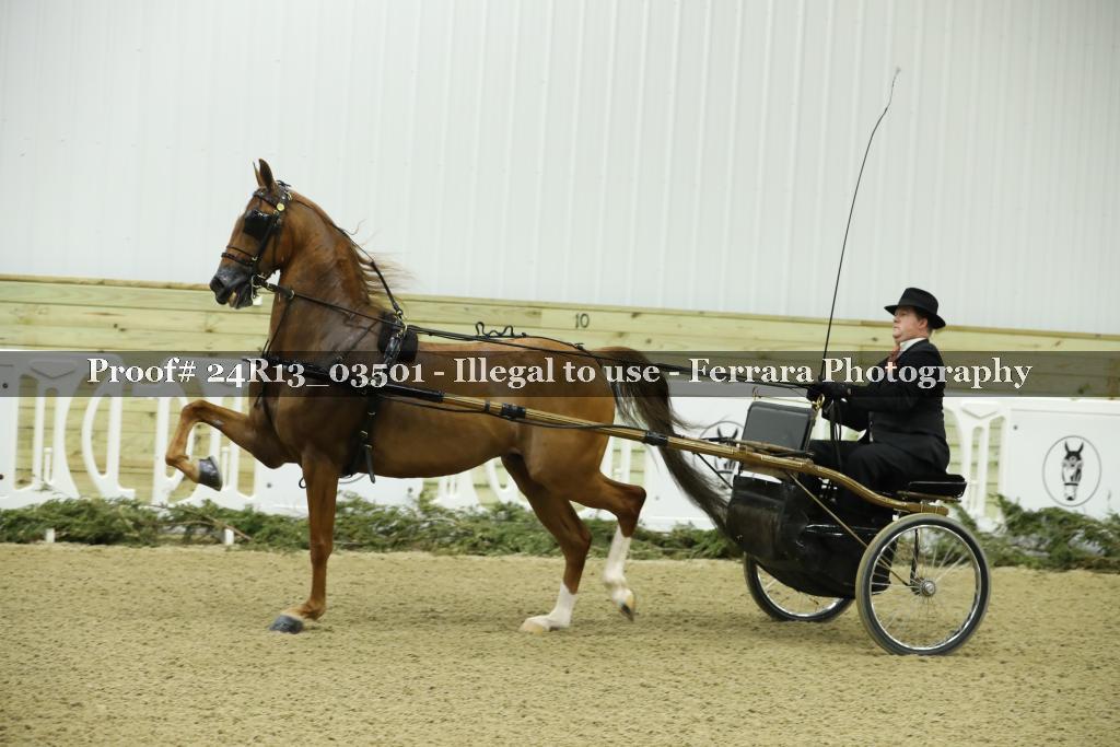 Proof 24R13_03501