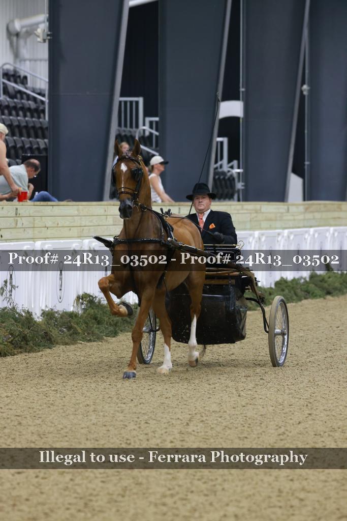 Proof 24R13_03502
