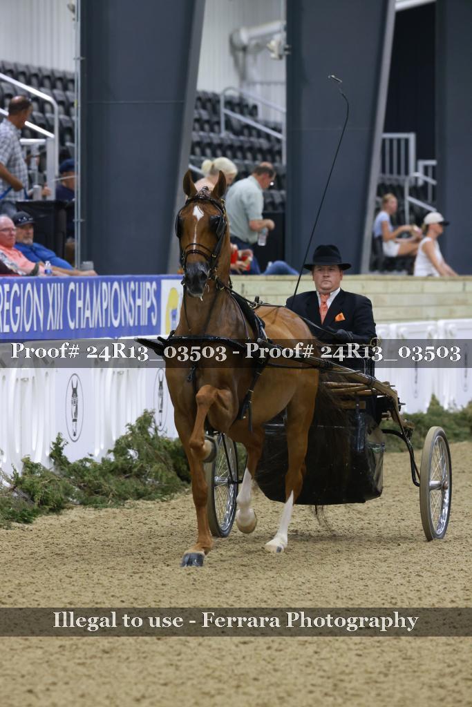 Proof 24R13_03503