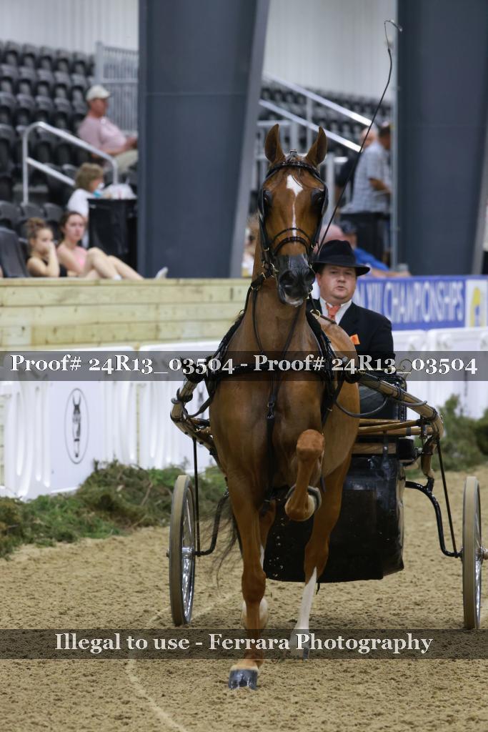 Proof 24R13_03504