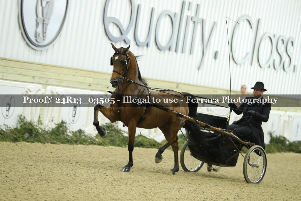 Proof 24R13_03505