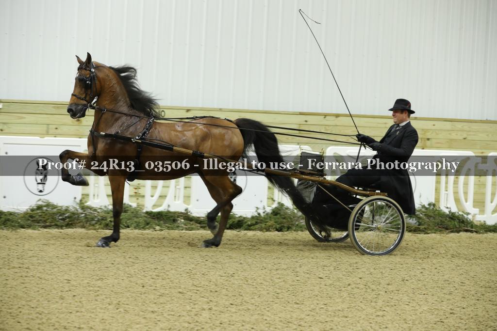 Proof 24R13_03506