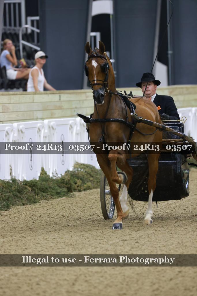 Proof 24R13_03507