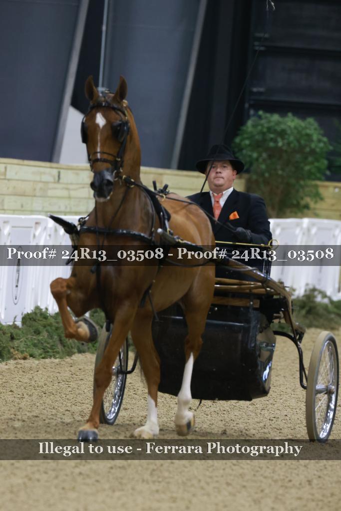 Proof 24R13_03508