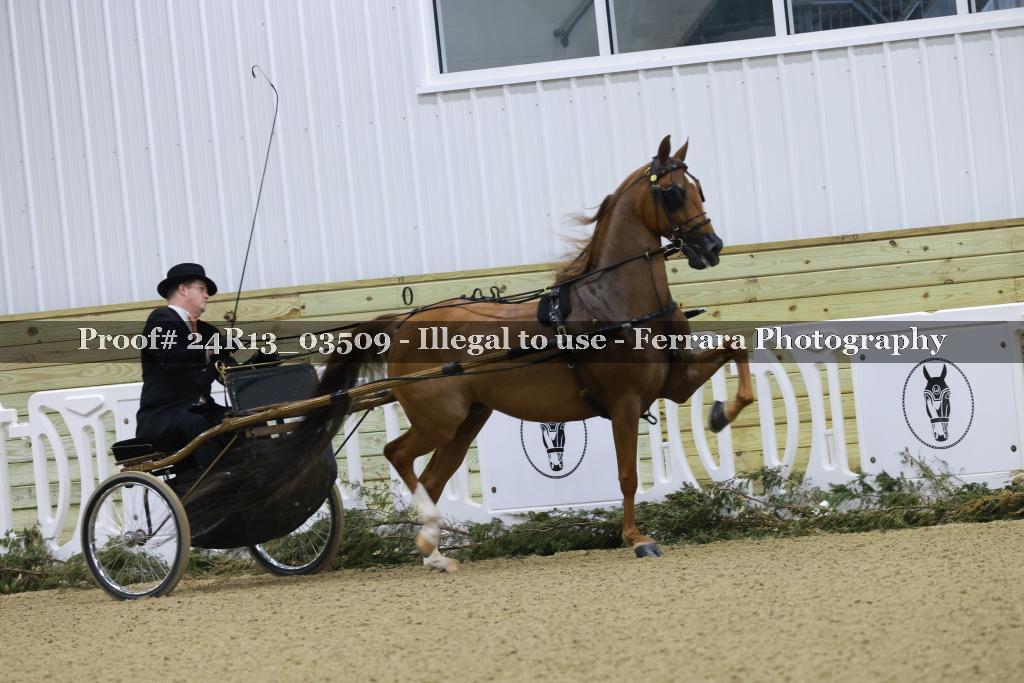 Proof 24R13_03509