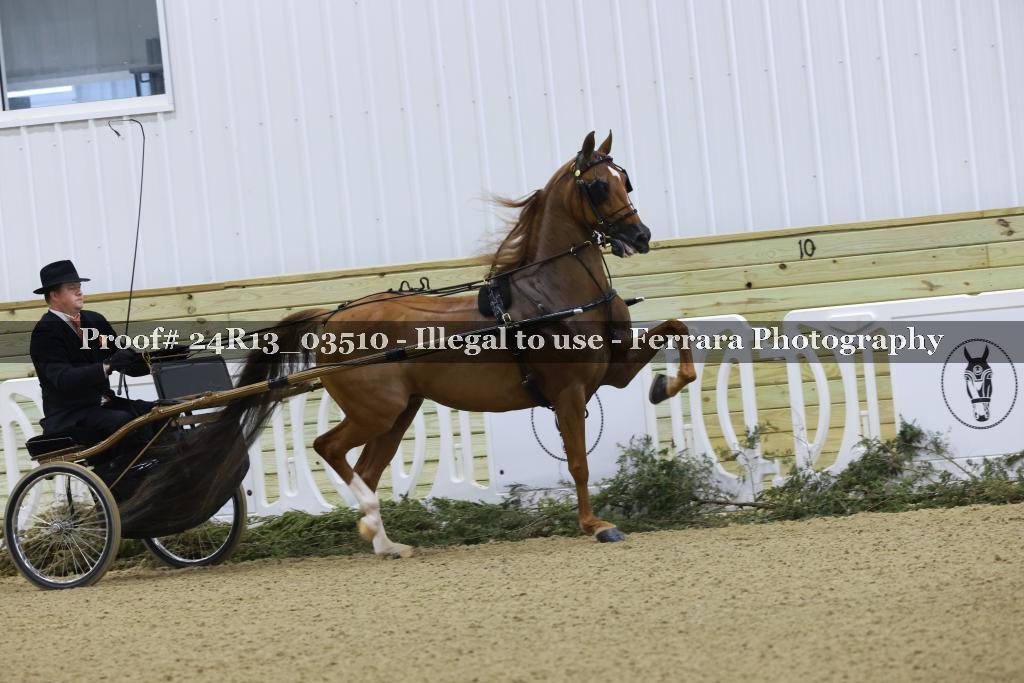 Proof 24R13_03510