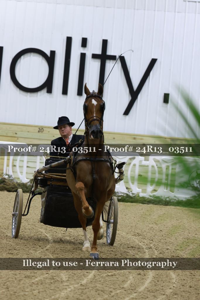 Proof 24R13_03511