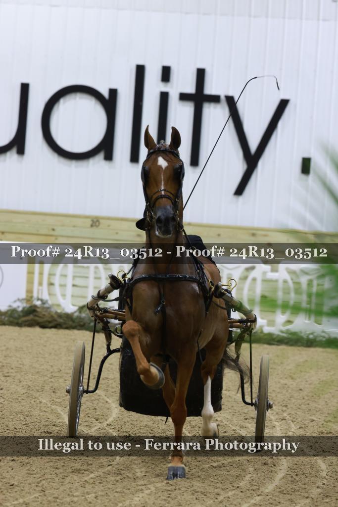 Proof 24R13_03512