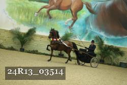 24R13_03514 proof