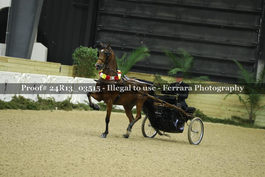 Proof 24R13_03515