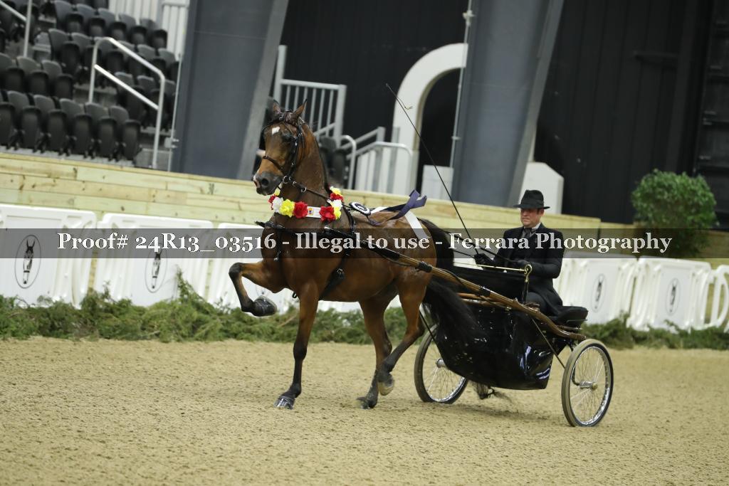 Proof 24R13_03516