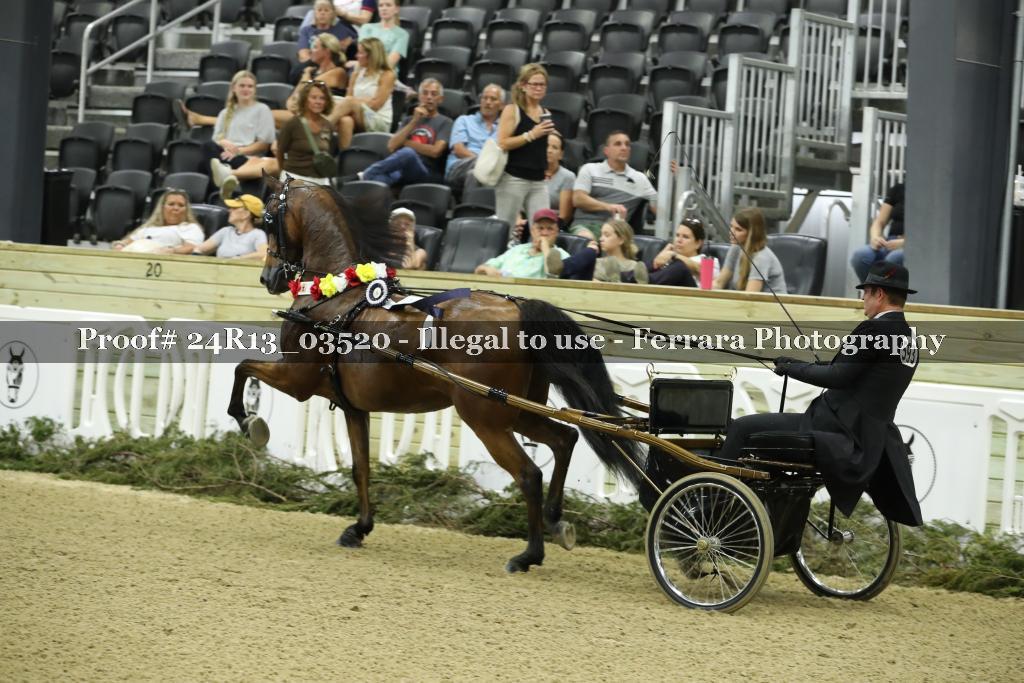 Proof 24R13_03520
