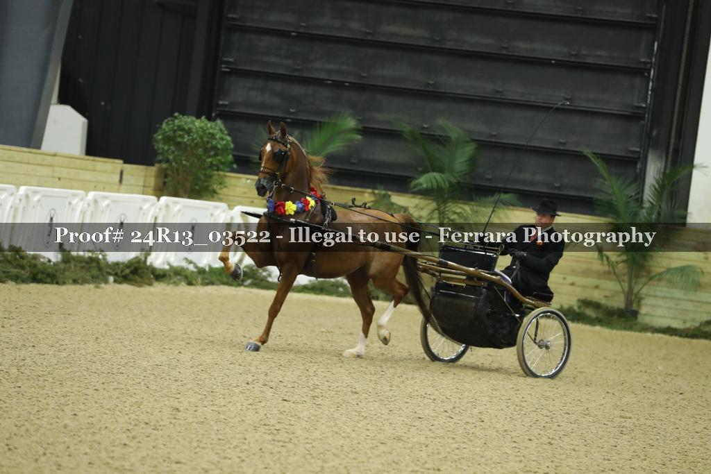Proof 24R13_03522