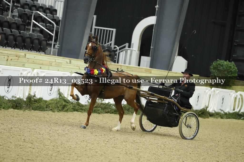Proof 24R13_03523