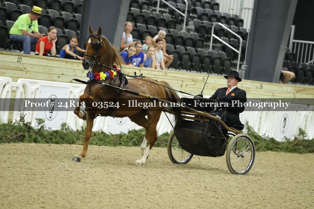 Proof 24R13_03524