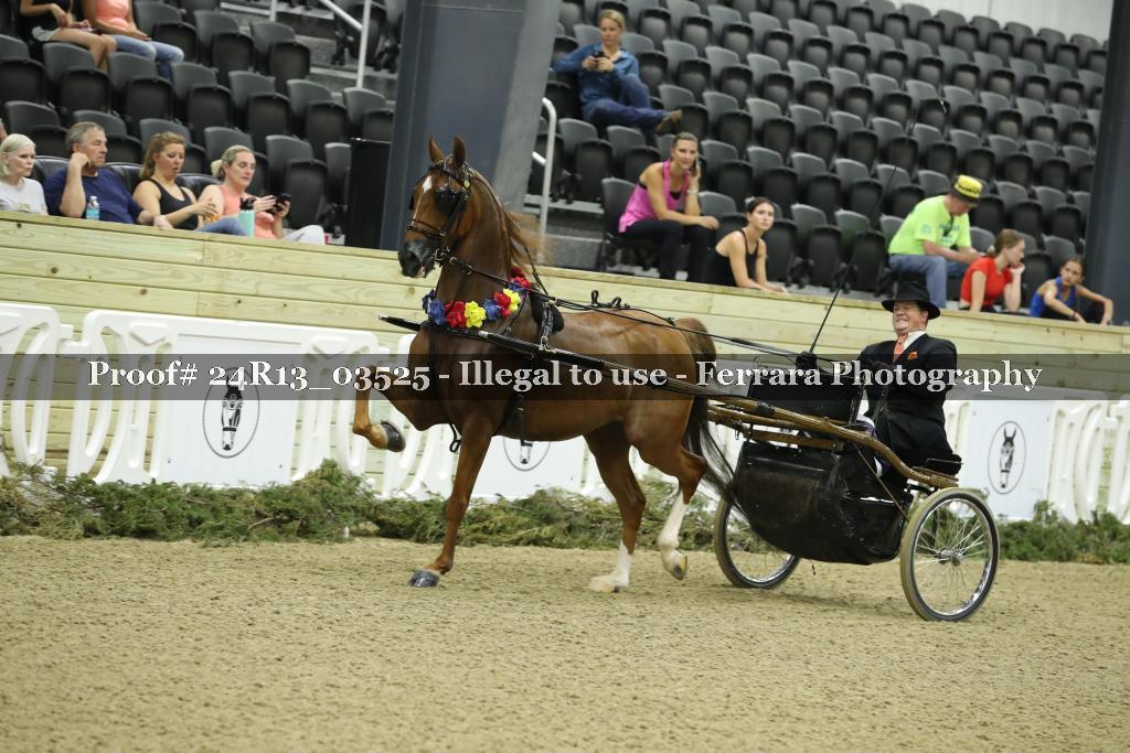 Proof 24R13_03525