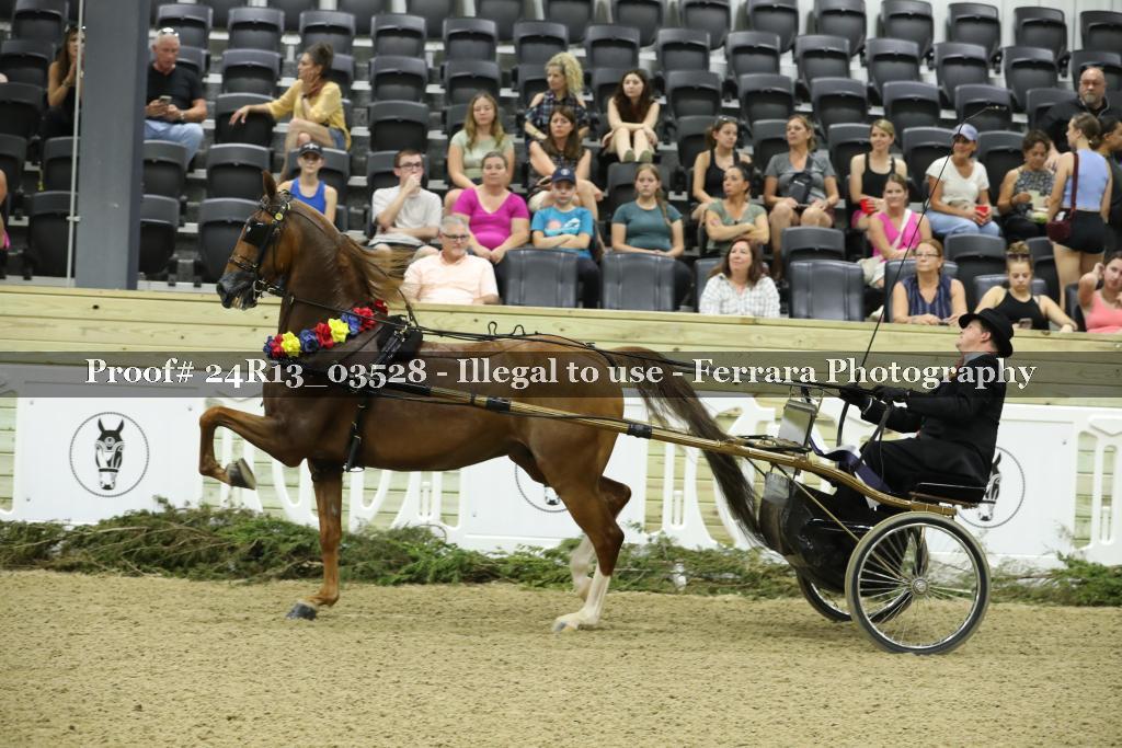 Proof 24R13_03528