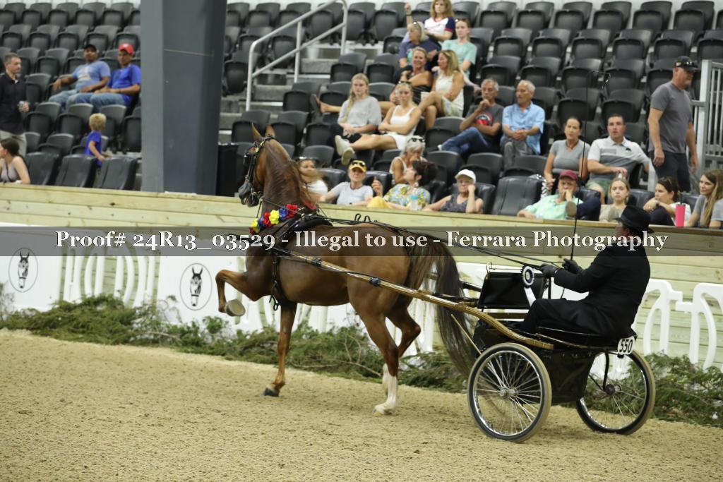 Proof 24R13_03529