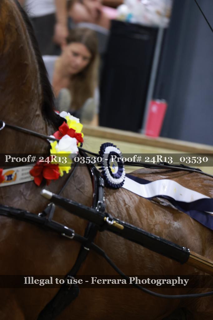 Proof 24R13_03530