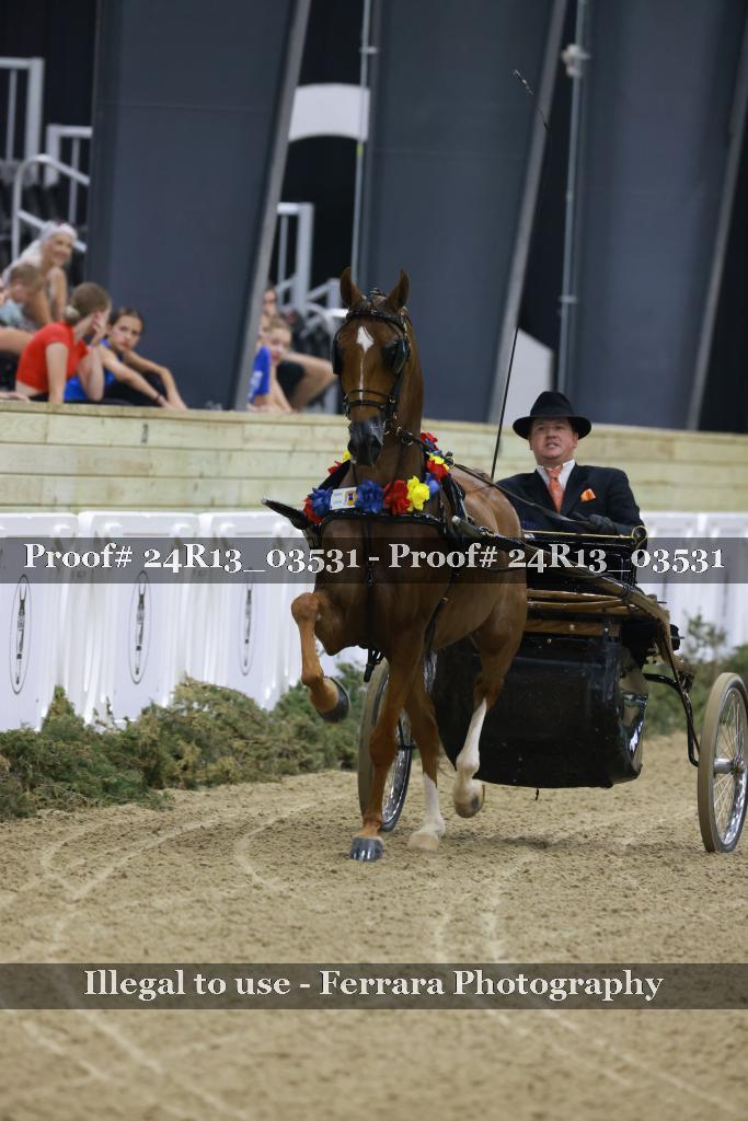 Proof 24R13_03531